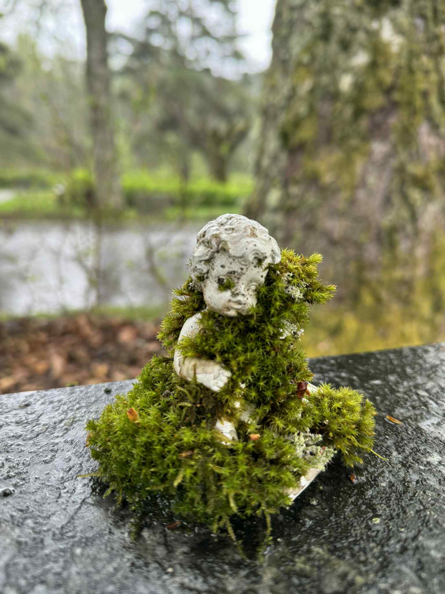 Hautausmaan hautakoriste