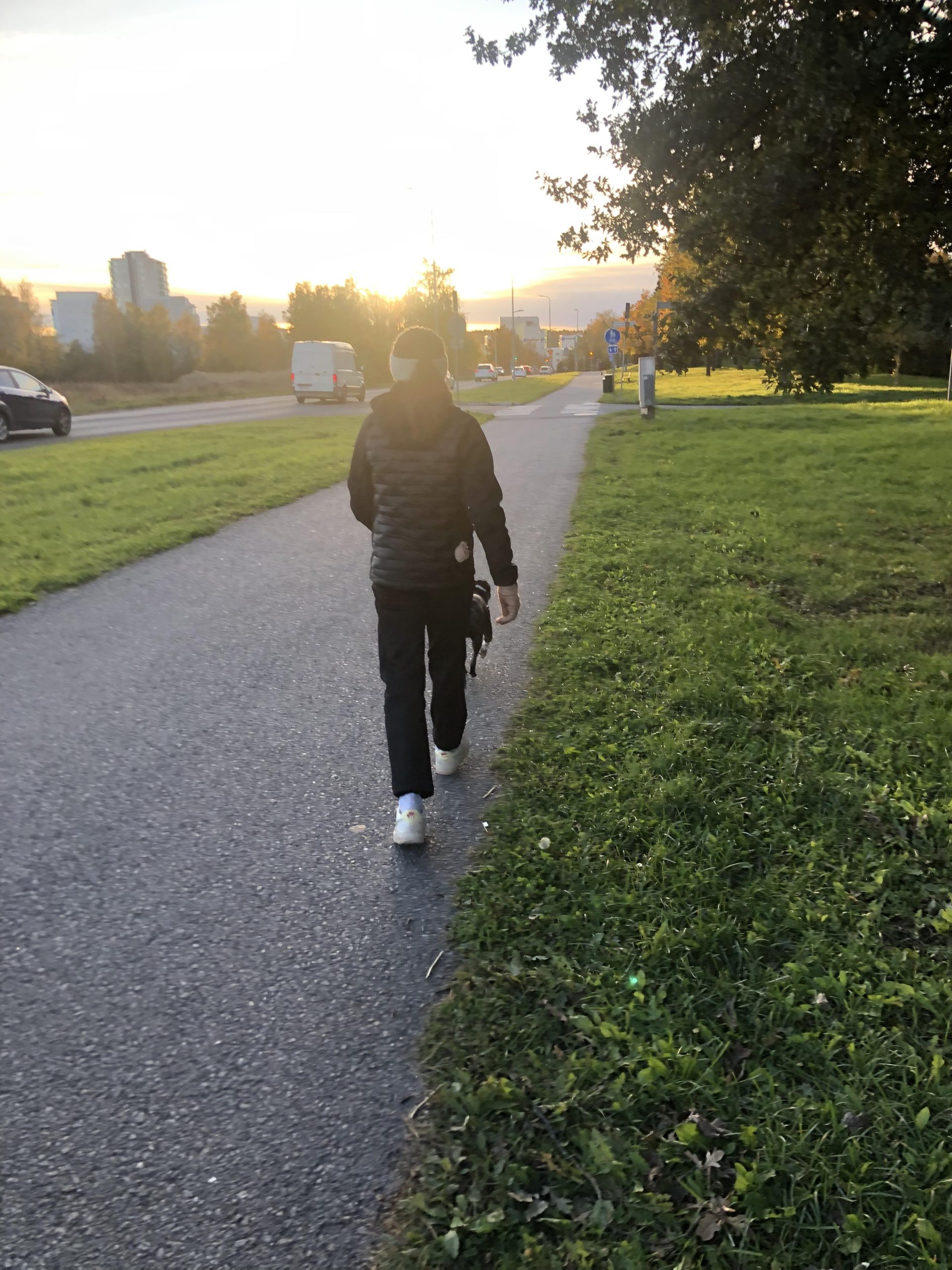 Koiralenkillä