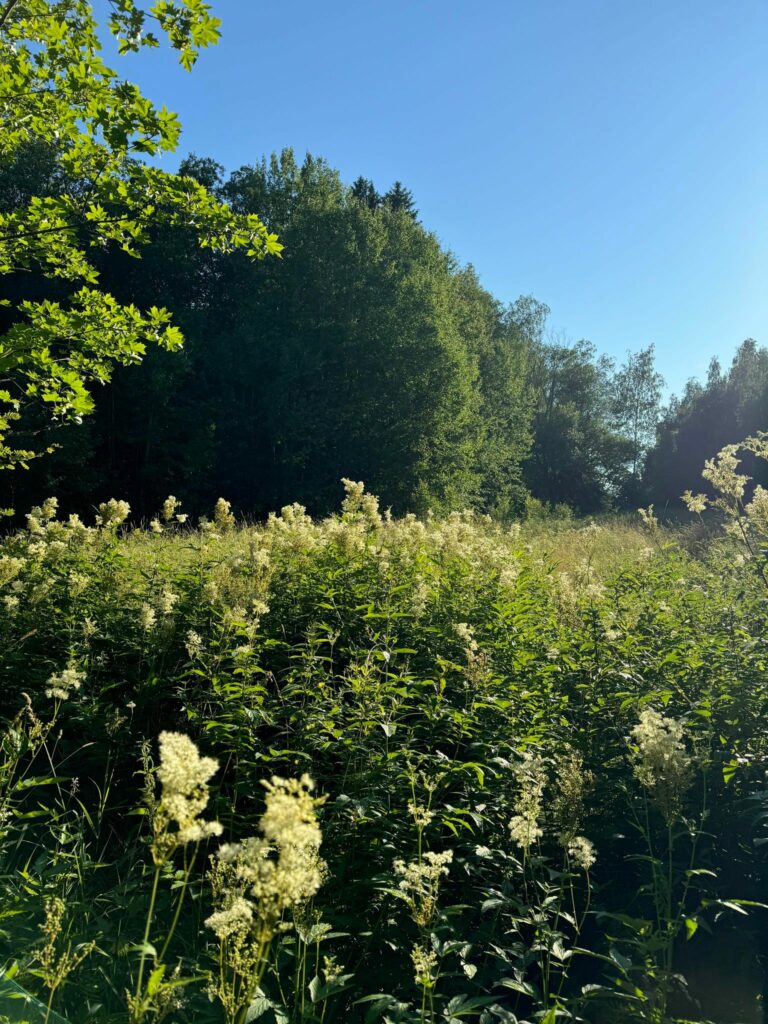 Lempiasioitani juuri nyt
