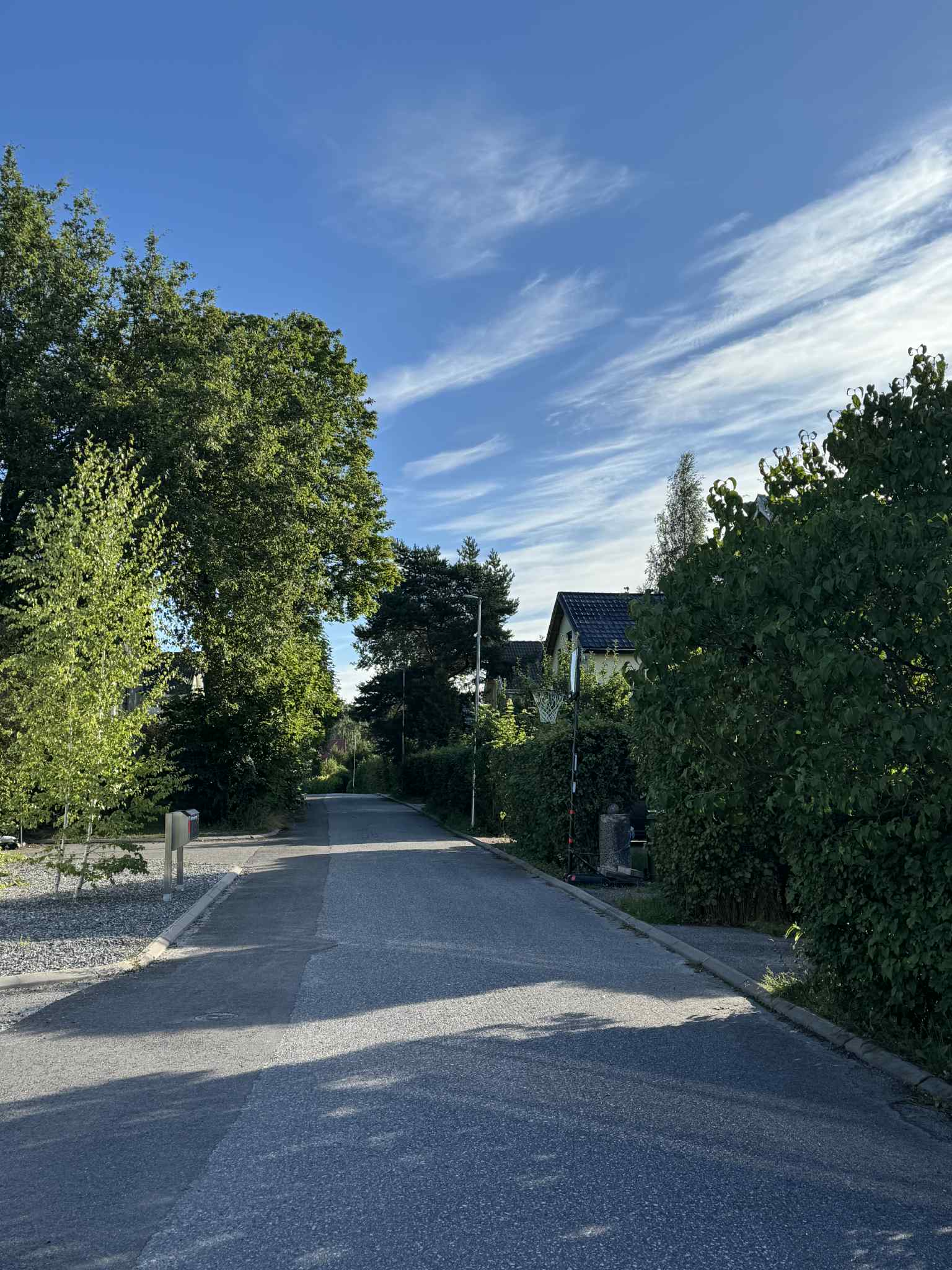 Lenkkipolun maisema