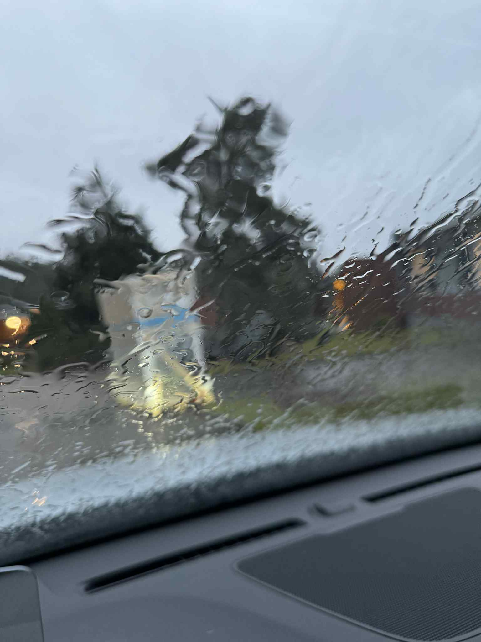 Sateinen kuva pihasta