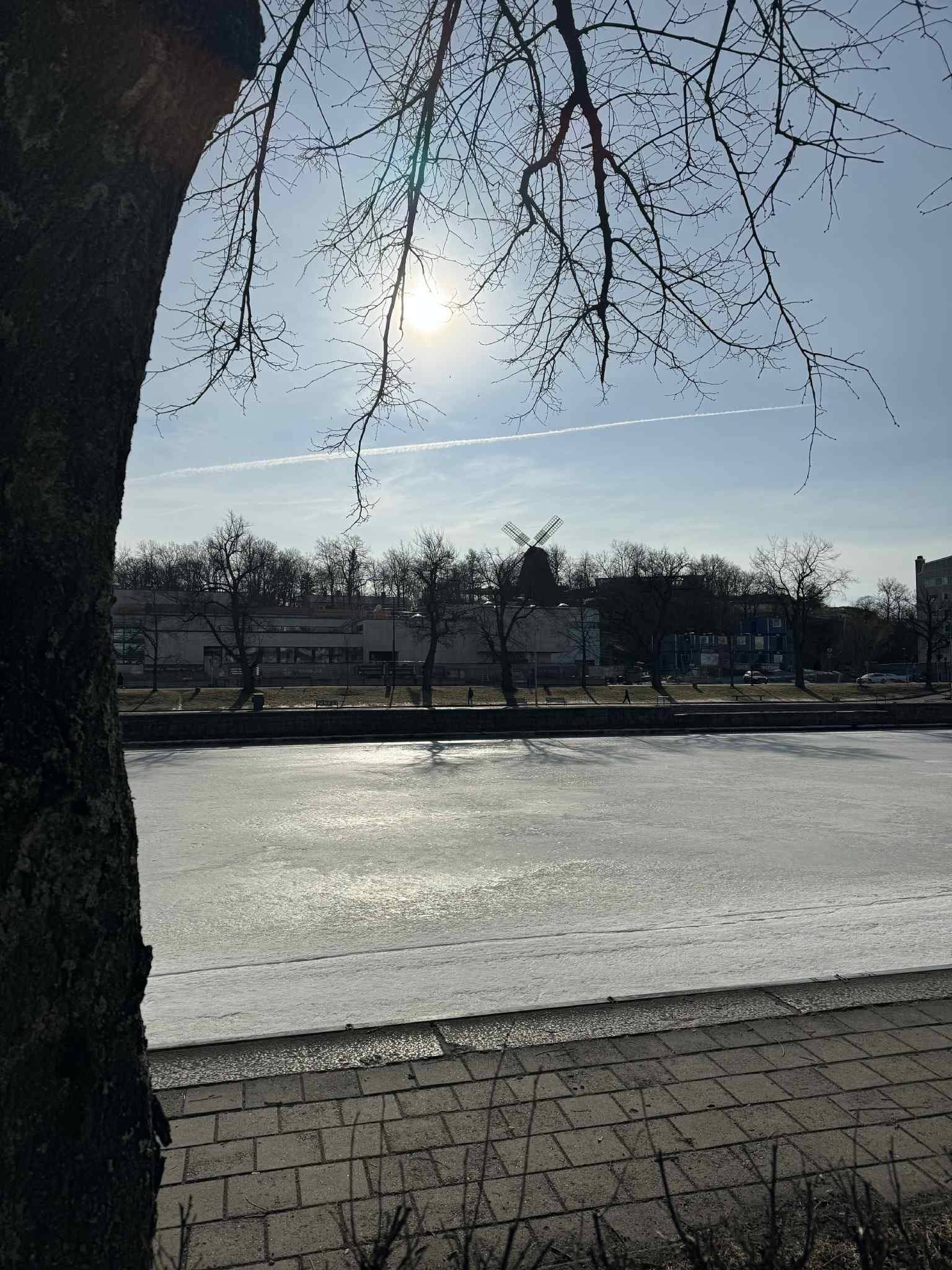 Aurajokimaisema
