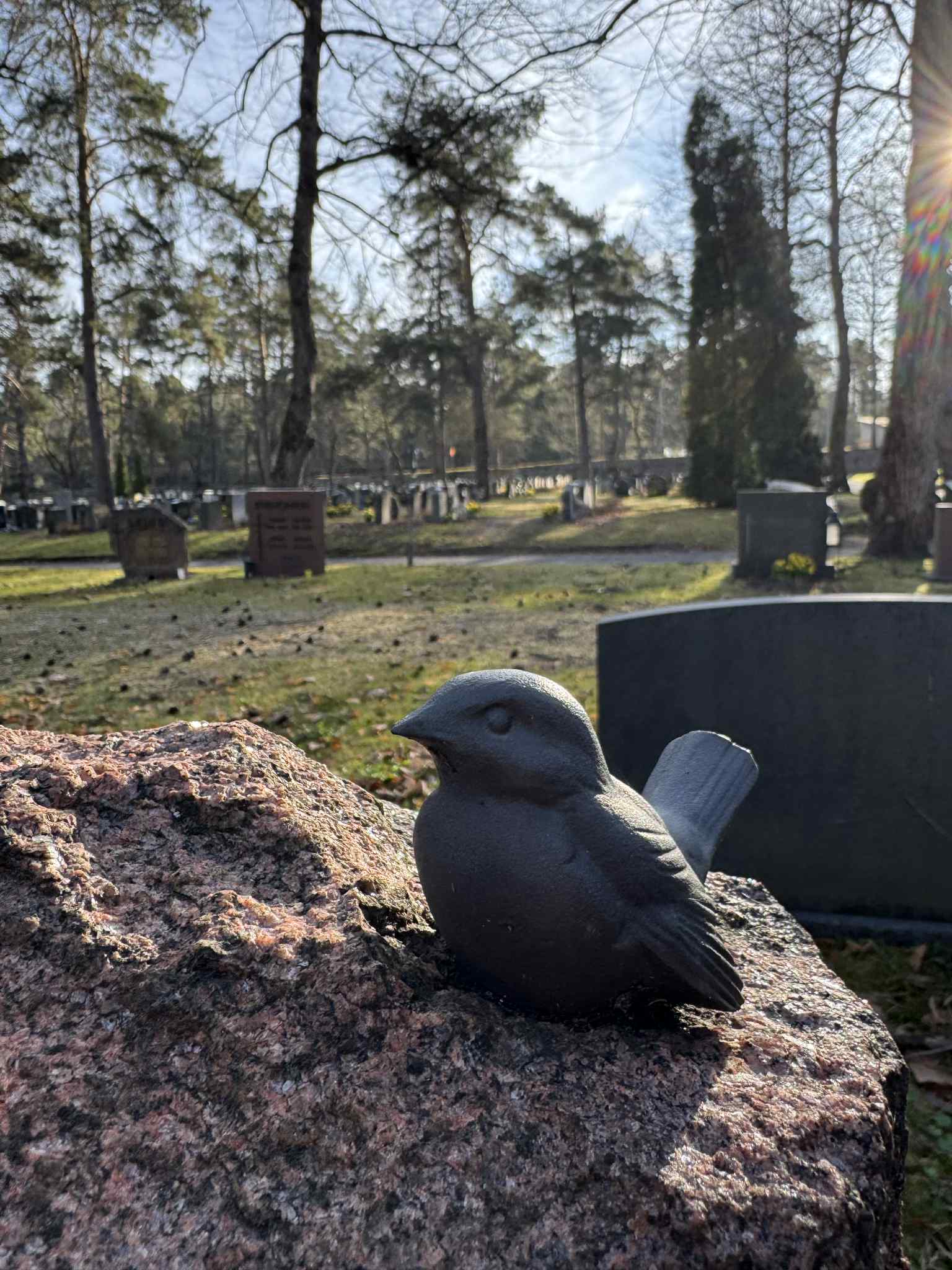Lintu hautakivellä