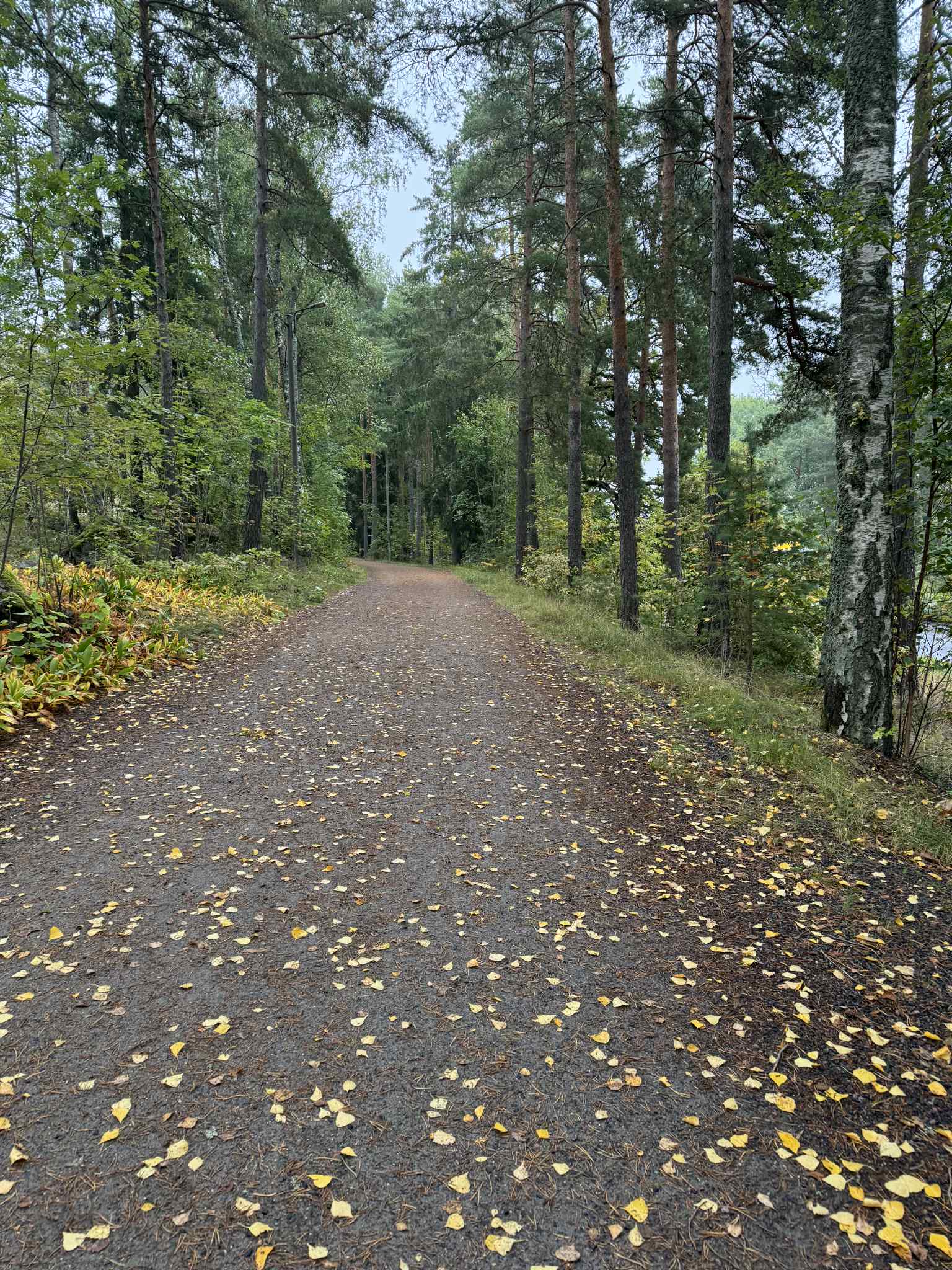 Lenkkipolulla