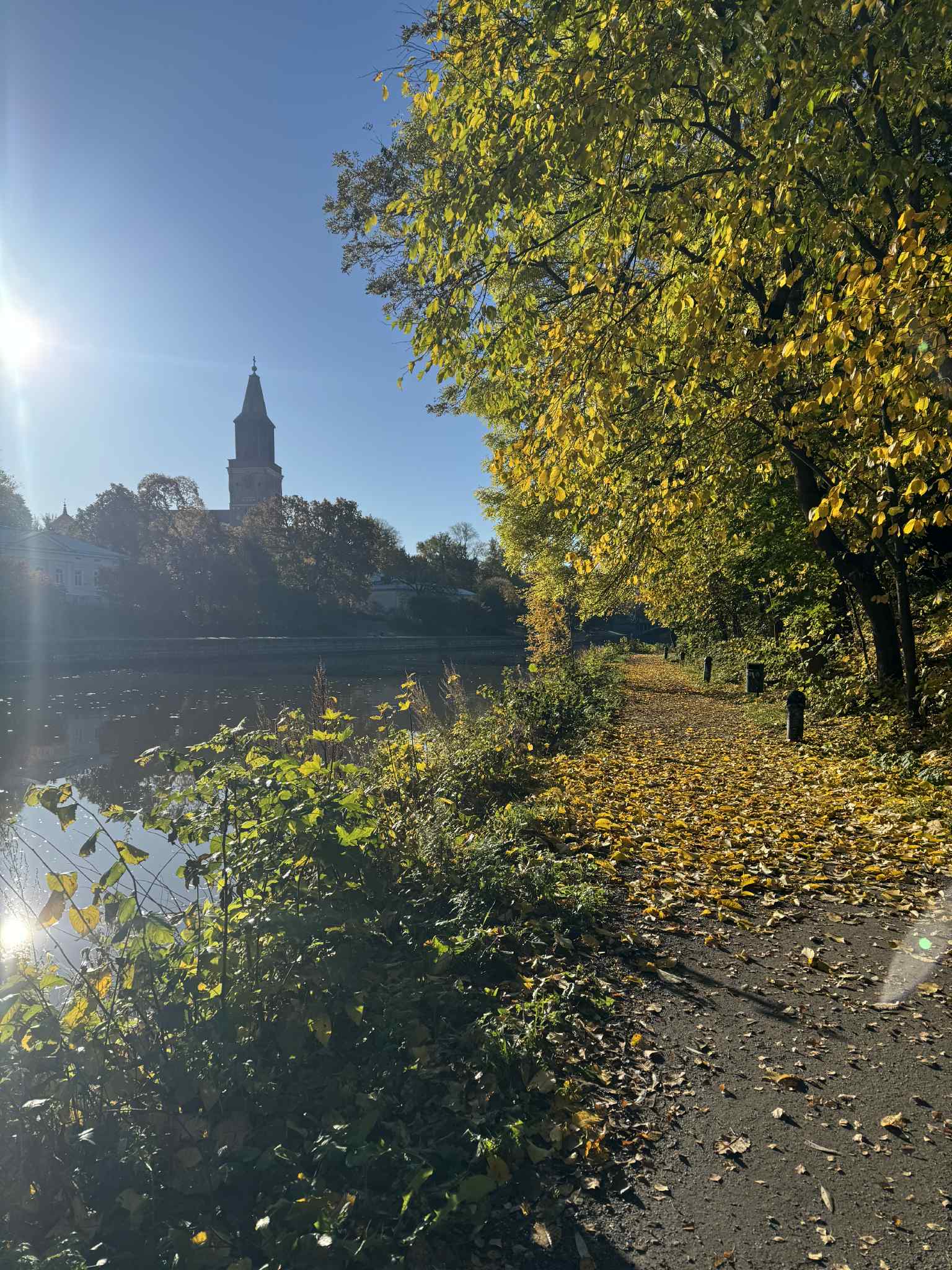 Jokivarsi