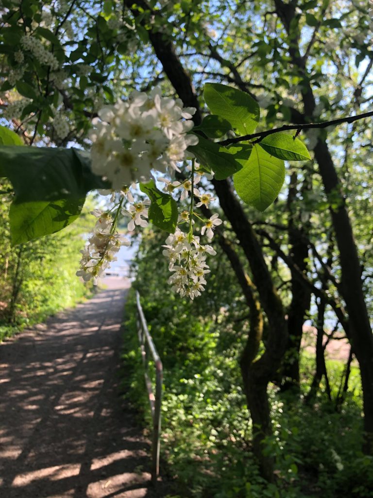 Uusia alkuja – Blogin kommentointi on taas mahdollista!