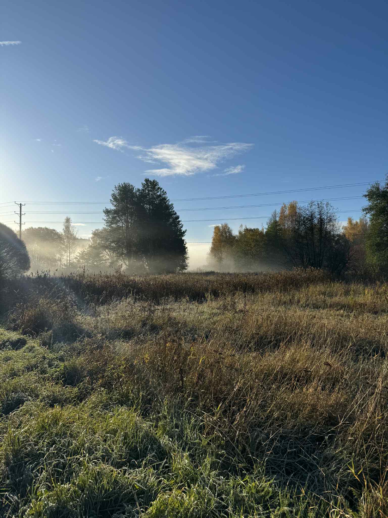 Sumuisa lenkkikuva