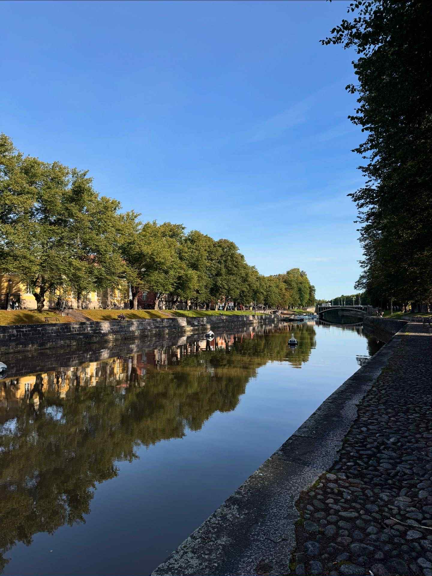 Aurajokivarsi