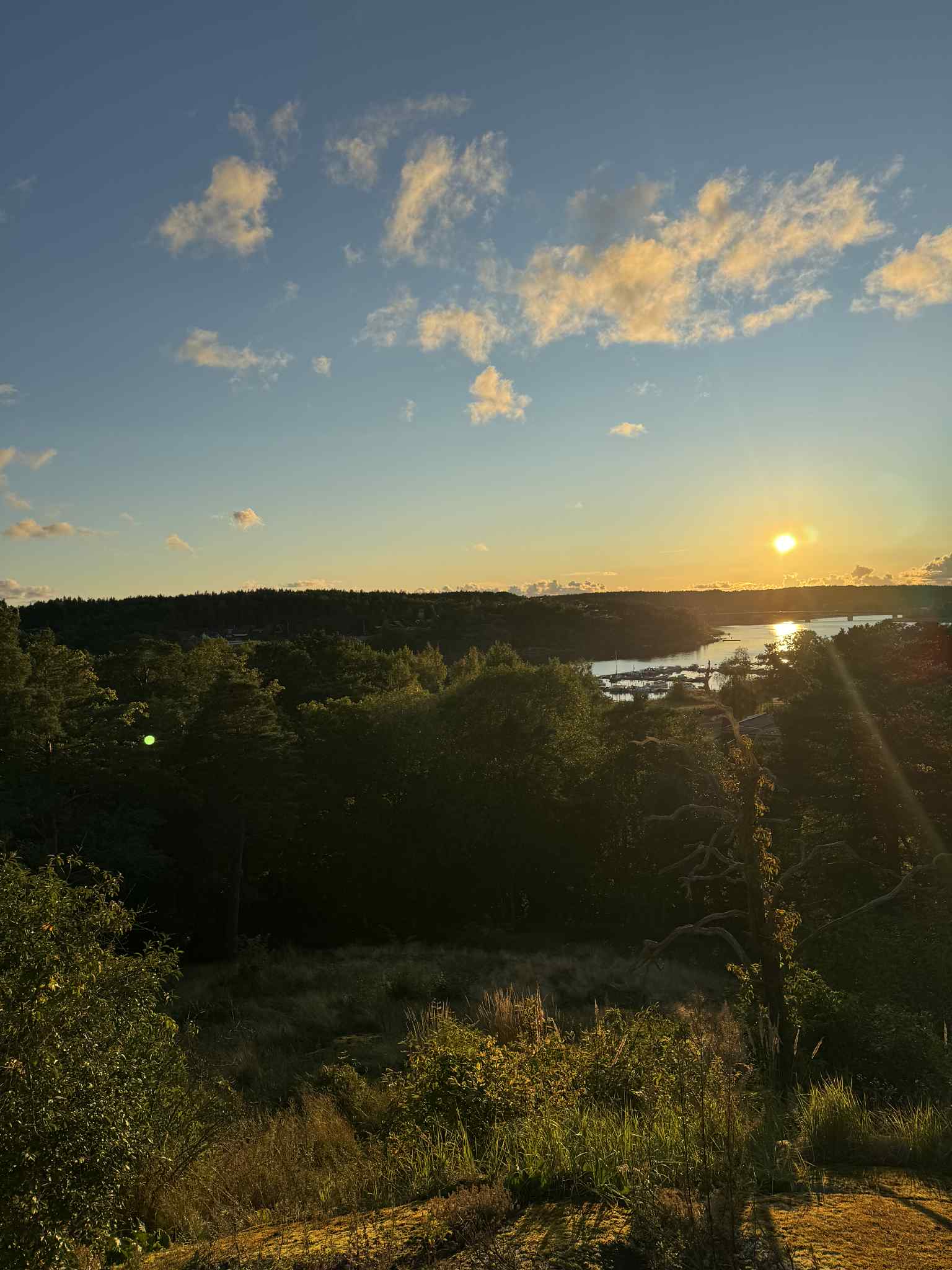 Elokuu maisemaikkunasta