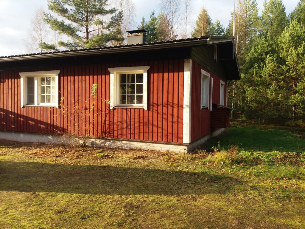 Ensimmäinen vuosi