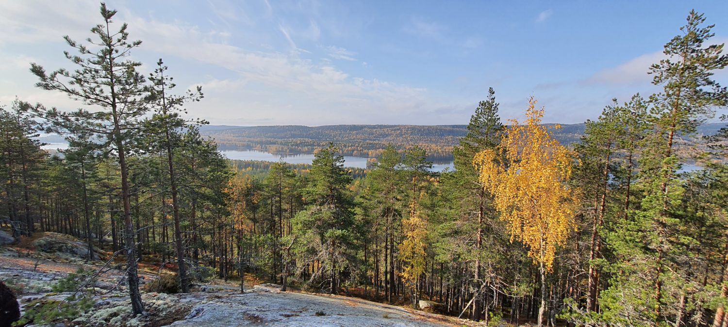 Ruuhkavuosien Polulla