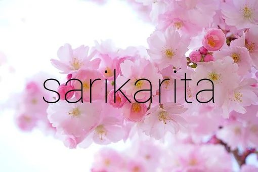 Sari Karita
