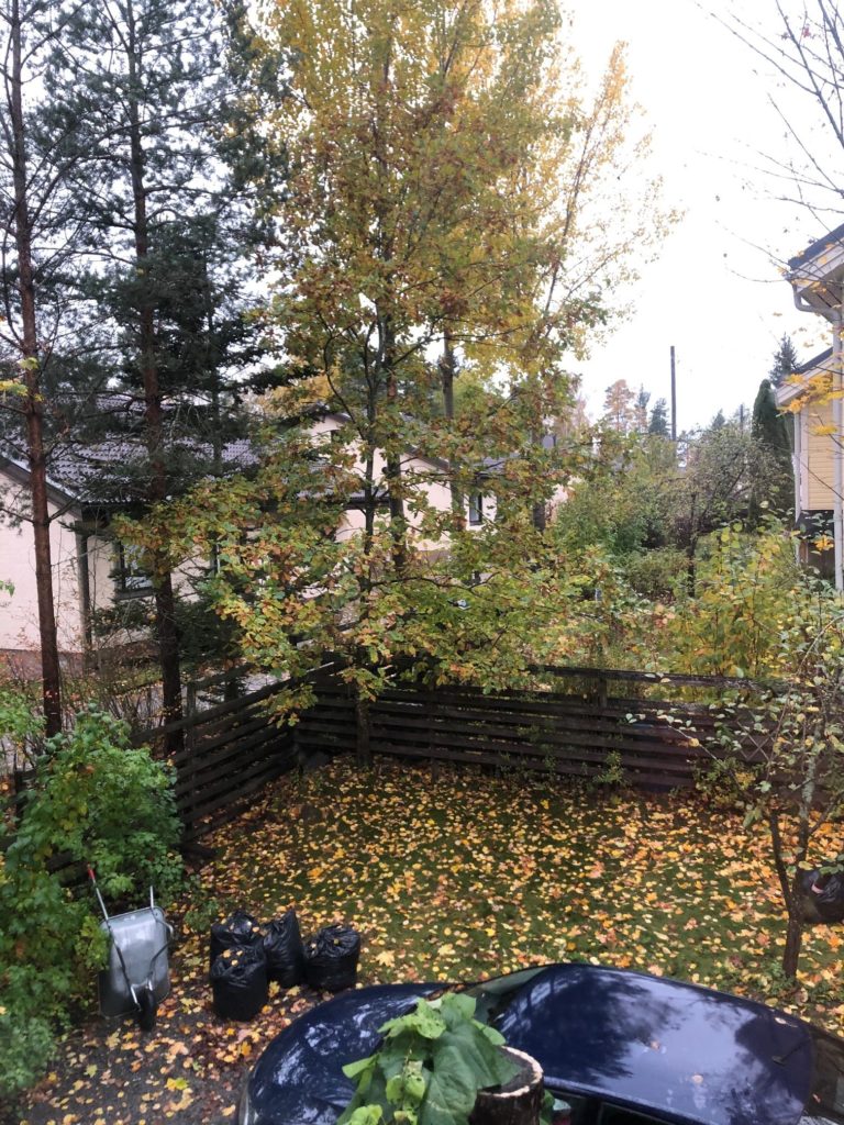 Näkymä harmaaseen keskiviikkoon työpisteeltäni