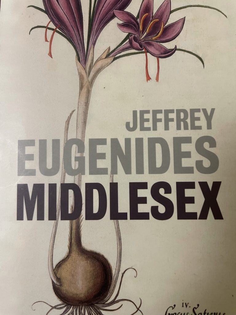 Jeffrey Eugenideksen Middlesex -kirjan kansi.