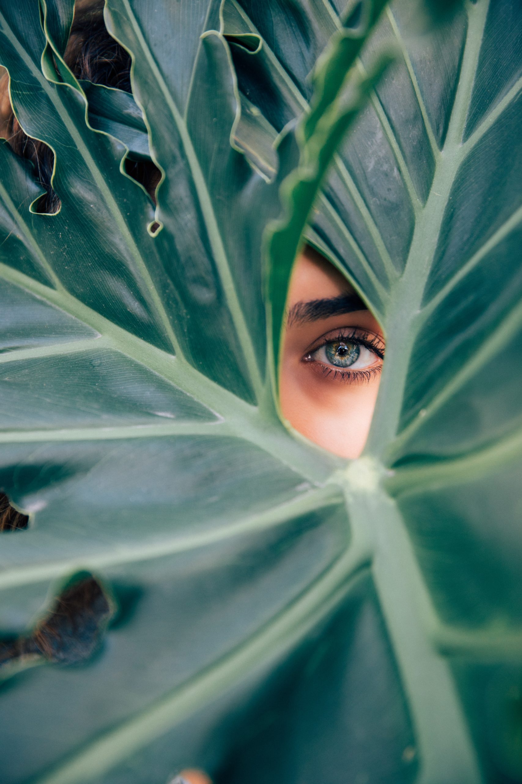 Nainen silmä näkyy kasvin lehdessä olevasta aukosta.