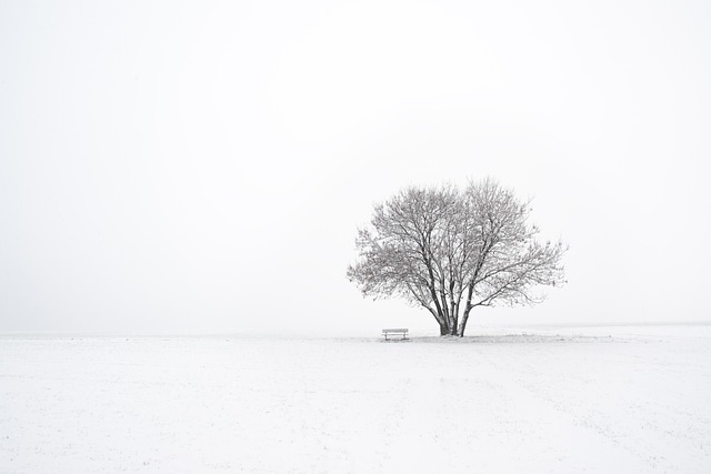 Minimalismi, askeettisuus ja epämukavuus