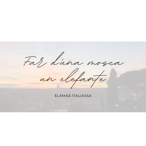 Far d'una mosca un elefante