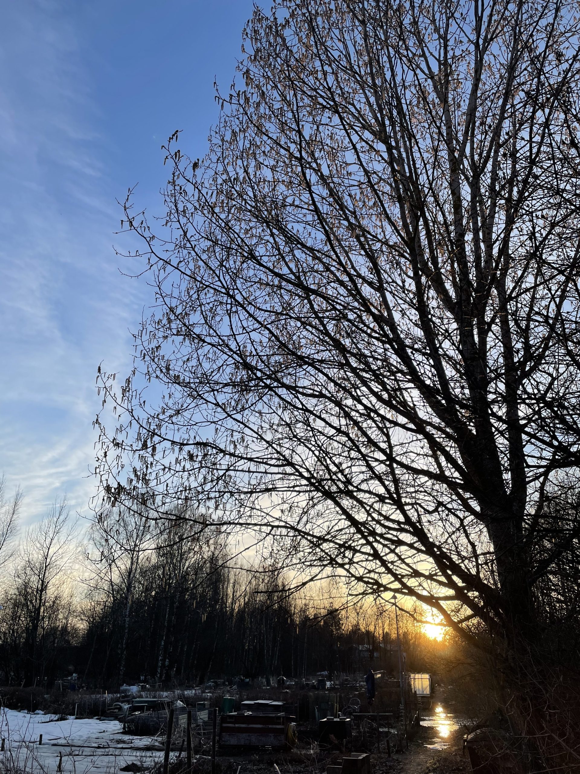 Meistä tulee palstaviljelijöitä!