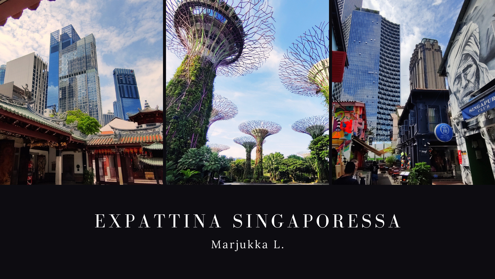 Expattina Singaporessa