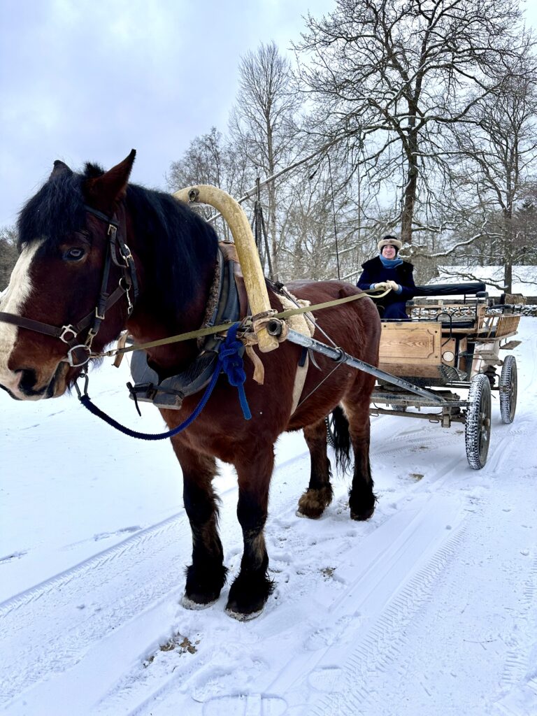 Mitä tehdä Tallinnassa laskiaisajelu