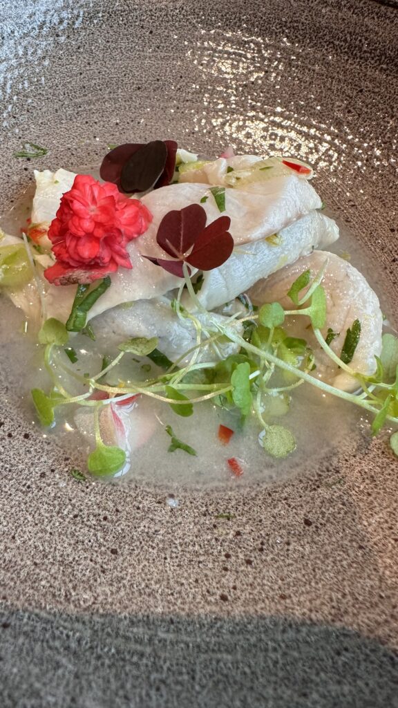 Jean Leon -menu cevich