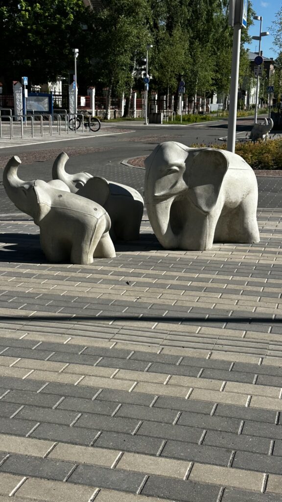 pärnu-norsut
