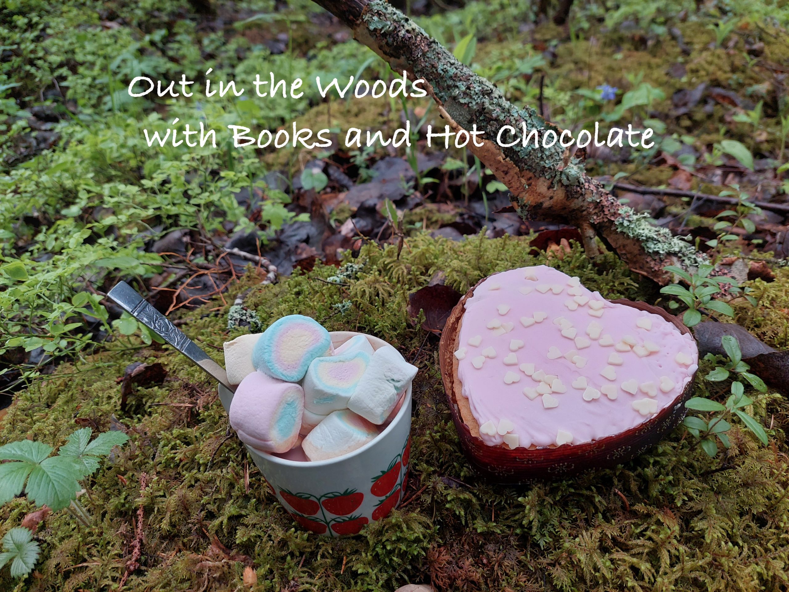 Out in the Woods with Books and Hot Chocolate