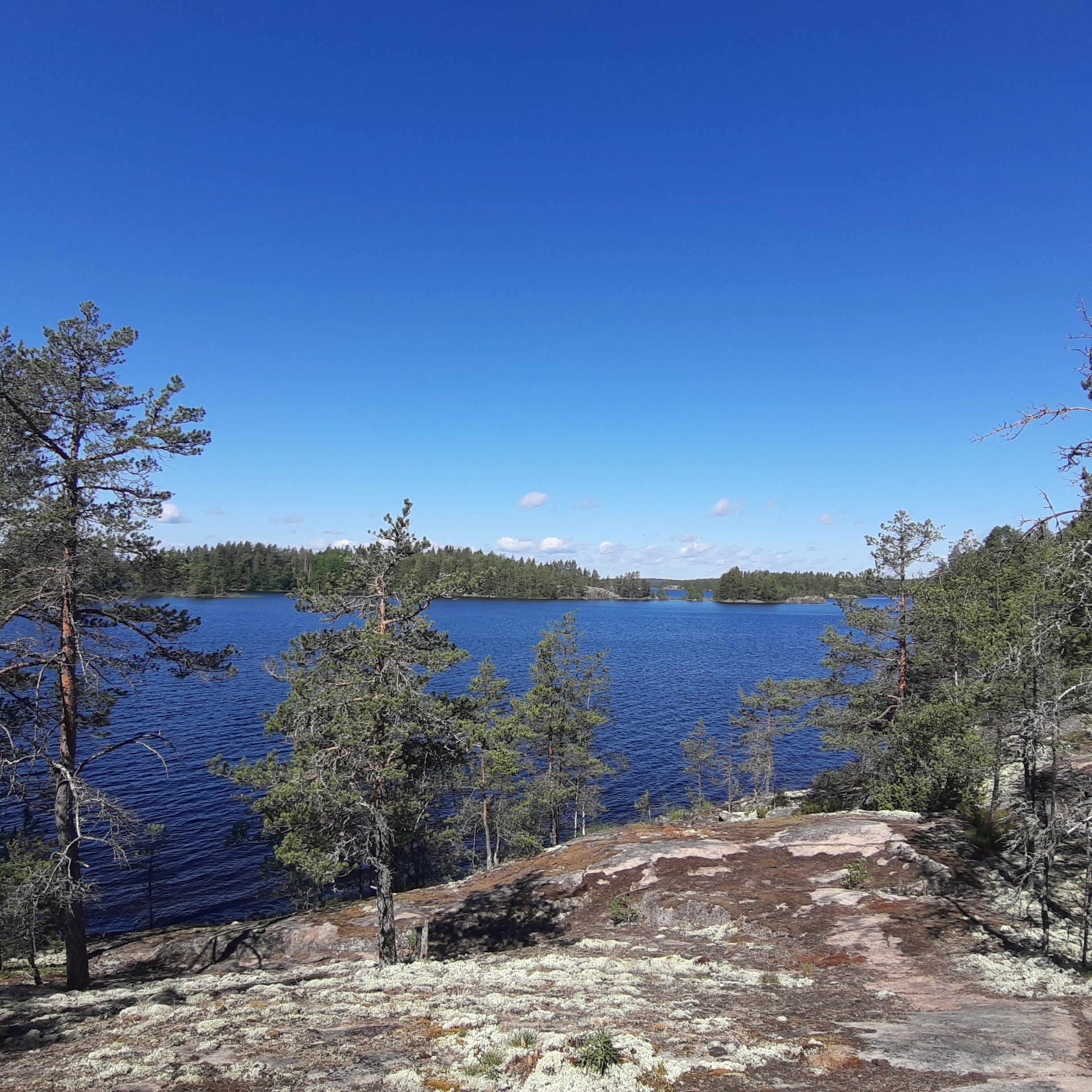 Puumalan Upein Luontopolku Norppapolku Eli Norppis Luonnon Helmassa