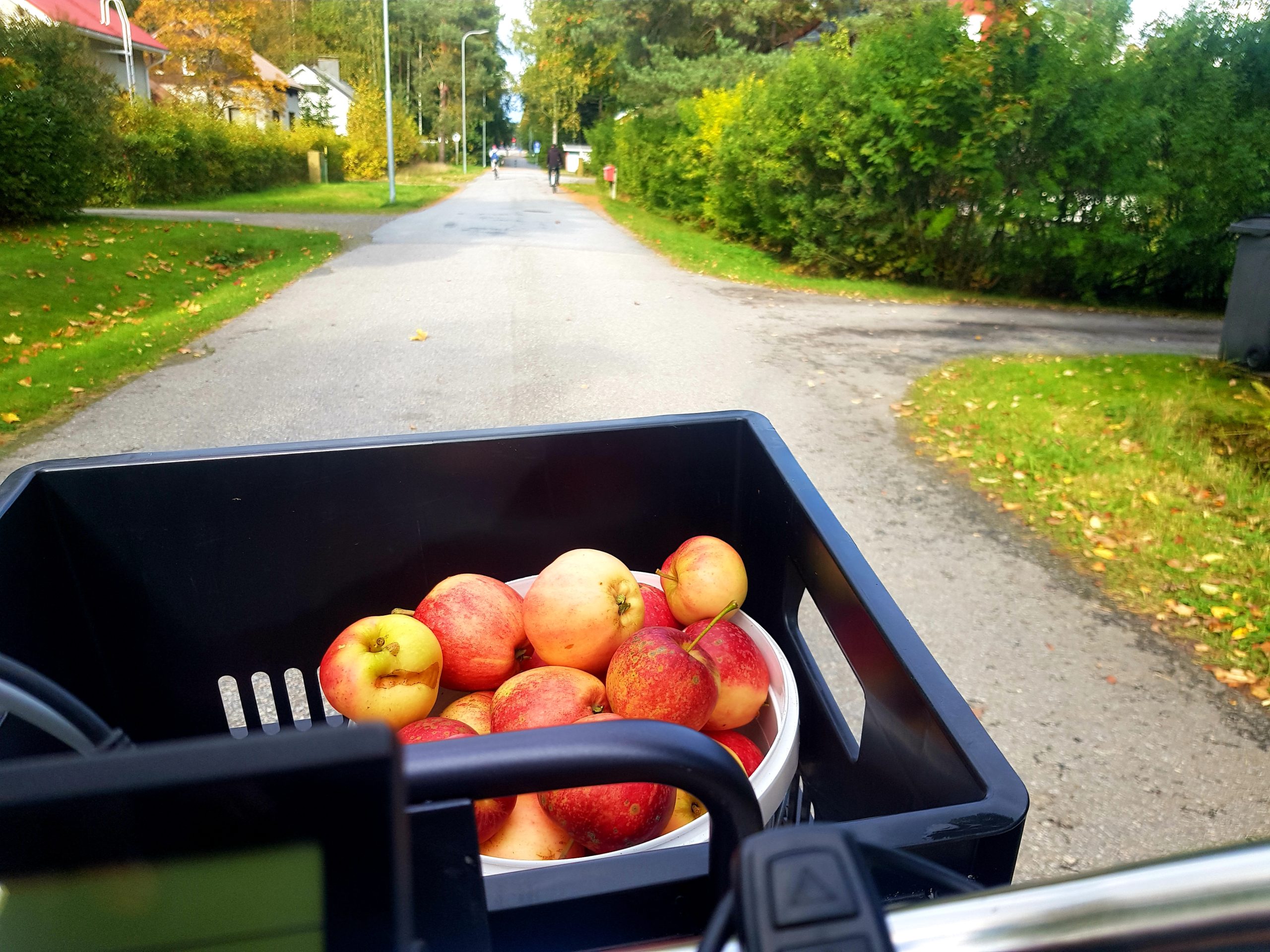 omenoita pyörän korissa
